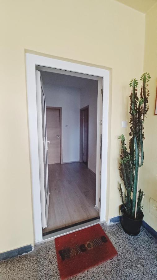 Ferienwohnung Apartman Dora Pula Exterior foto